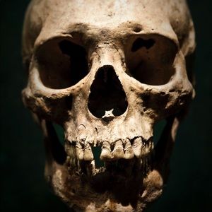 Meet your Posher, Jeremy